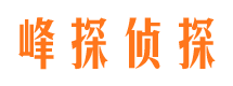 林甸侦探公司